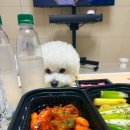 기영이숯불두마리치킨성남 - 성남시 중원구 광명로361번길 10 | 기영이숯불두마리치킨성남