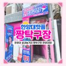 한양대점! 혼자서 칠 수 있는 로봇탁구까지~! 시간 순삭한 짱탁구장 솔직후기 (feat.모델이 신유빈선수!!)