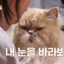 순이민박 이미지