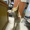 맥스농장 이미지