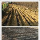 윤승농장 티스토리