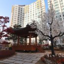 토대공인중개사사무소 이미지