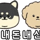 오늘도 편안하개 이미지