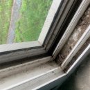 동아위생 이미지