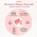 보라인셀덤 이미지