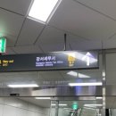 비비드포인 | [마곡] 헤일리 티프먼, 평범한 하루의 온도(feat. 힐링)