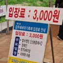 아주2로4길 10 ~ 아주2로2길 13일원 | 함안가볼만한곳 함안강주해바라기축체 주말방문후기