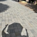캘리포니아뜰 이미지