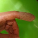 아주안제요양병원 이미지