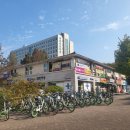 이대1번약국 이미지