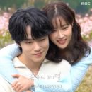 소담 이미지