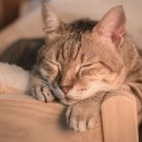 와이비 메디컬 이미지