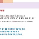 터치벨라