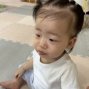 6월 3주 은방울반 놀이사진 및 생활모습이에요:) 이미지