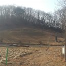 황림 묘 이미지