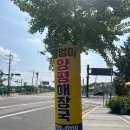 울엄마양평해장국 | 충북 옥천 해장국 울엄마양평해장국 다녀왔어요.