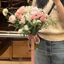 동암 | [4월] 벚꽃과 자연 그리고 고양이🌸🍃🐈