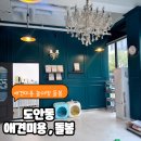 몽실몽실 애견미용 이미지