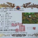 산삼감정협회 중앙일보