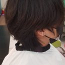 박숙경 헤어 살롱