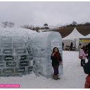 대관령 눈꽃 축제 스물두번째 들여다 보기 이미지