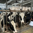 현성목장 이미지