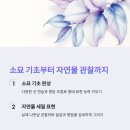 선과 명암의 이야기, 소묘 이미지