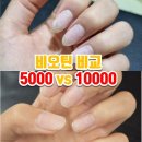 나우수퍼 | 비오틴(솔가, 나우푸드) 5000 vs 10000 차이, 고함량이면 더 좋을까?