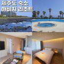 해비치리조트 | 제주 해비치리조트 해비치호텔 10번도 넘게간 후기