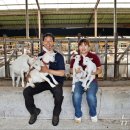 백운면 신규1 이미지