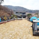 일랑일랑 | 애견 캠핑장 베스트 7 추천