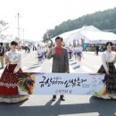 금산인삼 서울신문