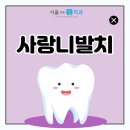 서울더정성치과 이미지