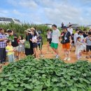 별밤캠프 이미지