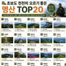 명산전자