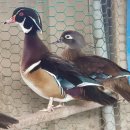 광주조류원 이미지