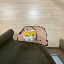 허쌤의모유수유클럽 네이버블로그