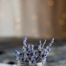 라이프기빙 이미지