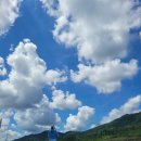 강동로5-17 | 26년 KLPGA 4월 일정 정리 - 대회 장소 한눈에 보기