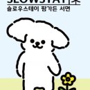 슬로우스테이_서면