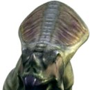 프로토케라톱스 이미지