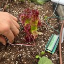 건국대학교 일반대학원 이미지