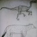 동물과 공룡의 크기 비교 색칠공부 이미지