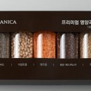 부사애견