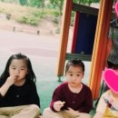 원흥사금강유치원 이미지
