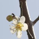 동미농장 이미지