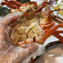 바다파파 | 해운대 랍스타 파파횟집 쾌적한 바다뷰 현지인 추천 맛집