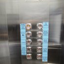 하늘중앙로195번길 | 정글비 영종하늘도시점, 영종도 아이와가볼만한곳 보드게임카페 내돈내산 후기