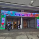 삼성인삼 | 2025년 삼성코엑스 트래블쇼 다녀온 후기