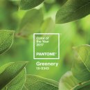 페인트마트 이미지